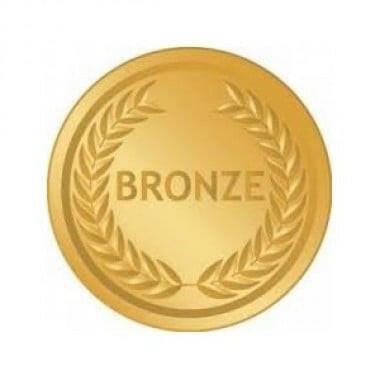 BRONZE SERVICE