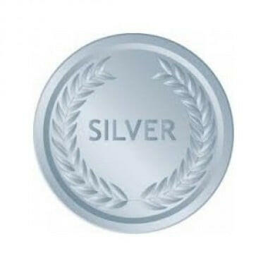 SILVER SERVICE